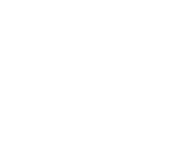 UFC.webp